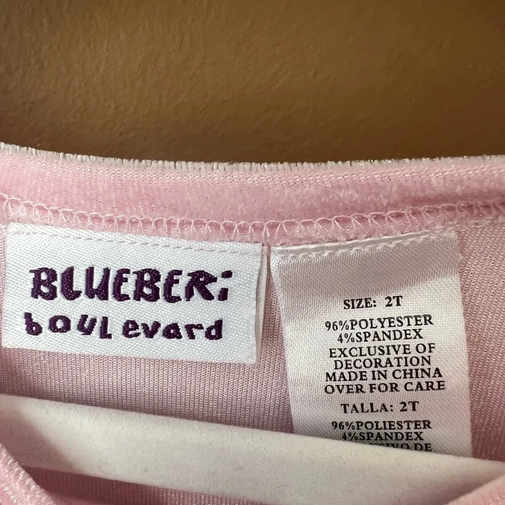 Blueberi Boulevard Girls Velour Velvet Pink Short Sleeve A-line Dress Size 2T